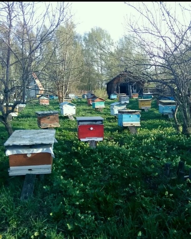 Дом