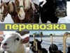 Дом